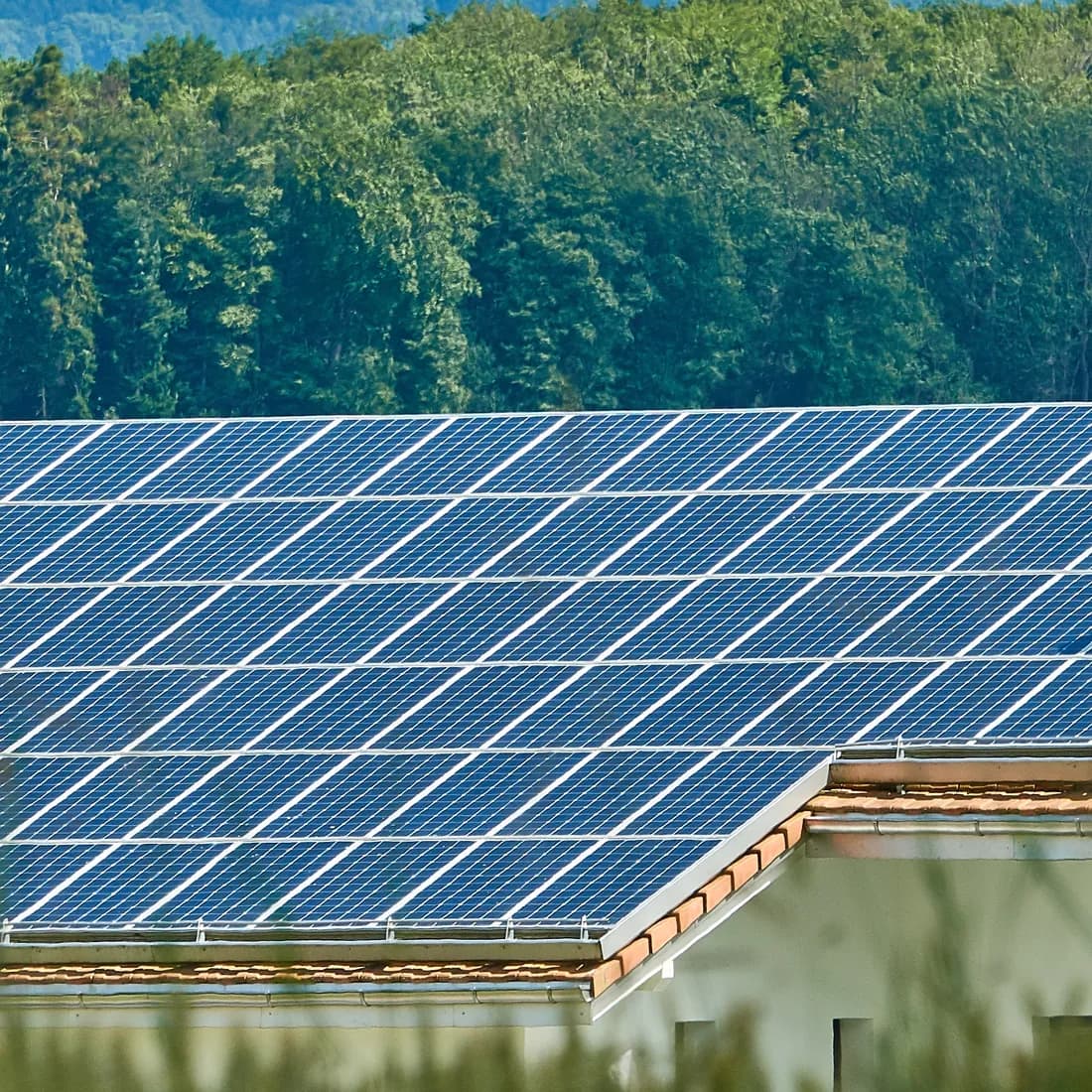 Monocrystalline solar panel module